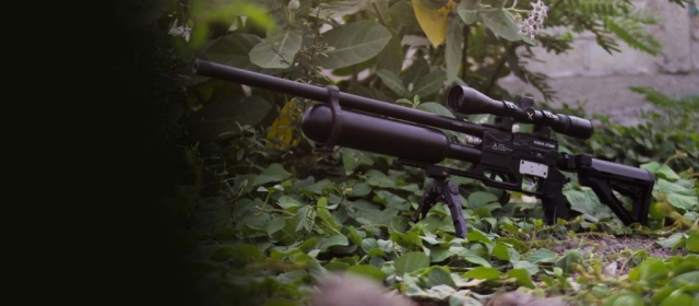 PCP Vixion Hybrid Predator